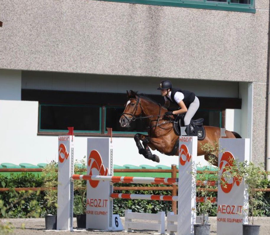 Corso agonistico di equitazione